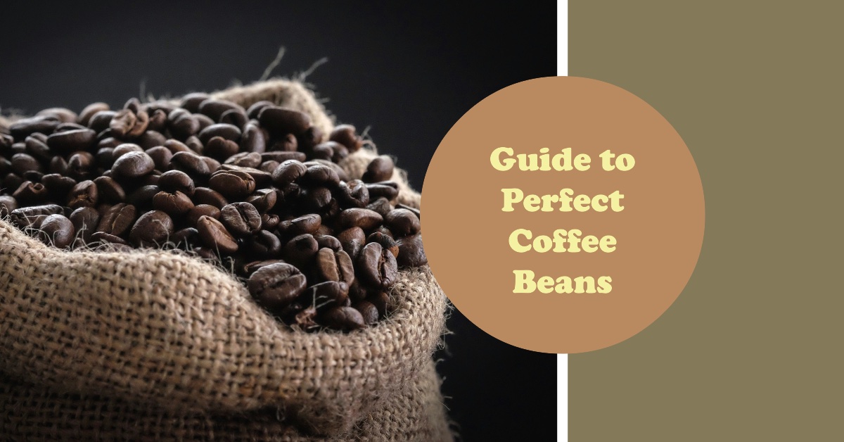 Guide to Perfect Coffee Beans - Feature Image